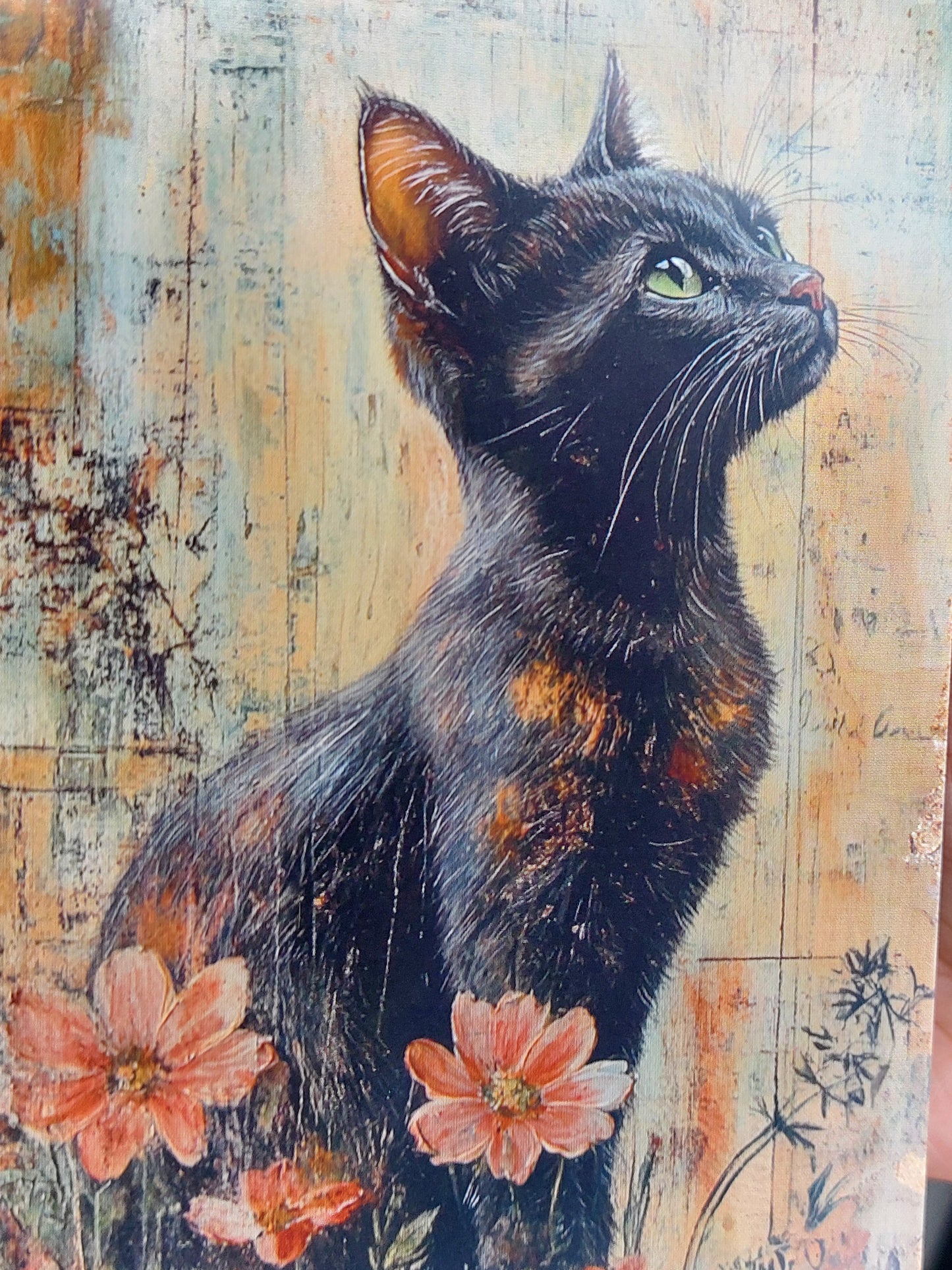 Katzen Postkarte