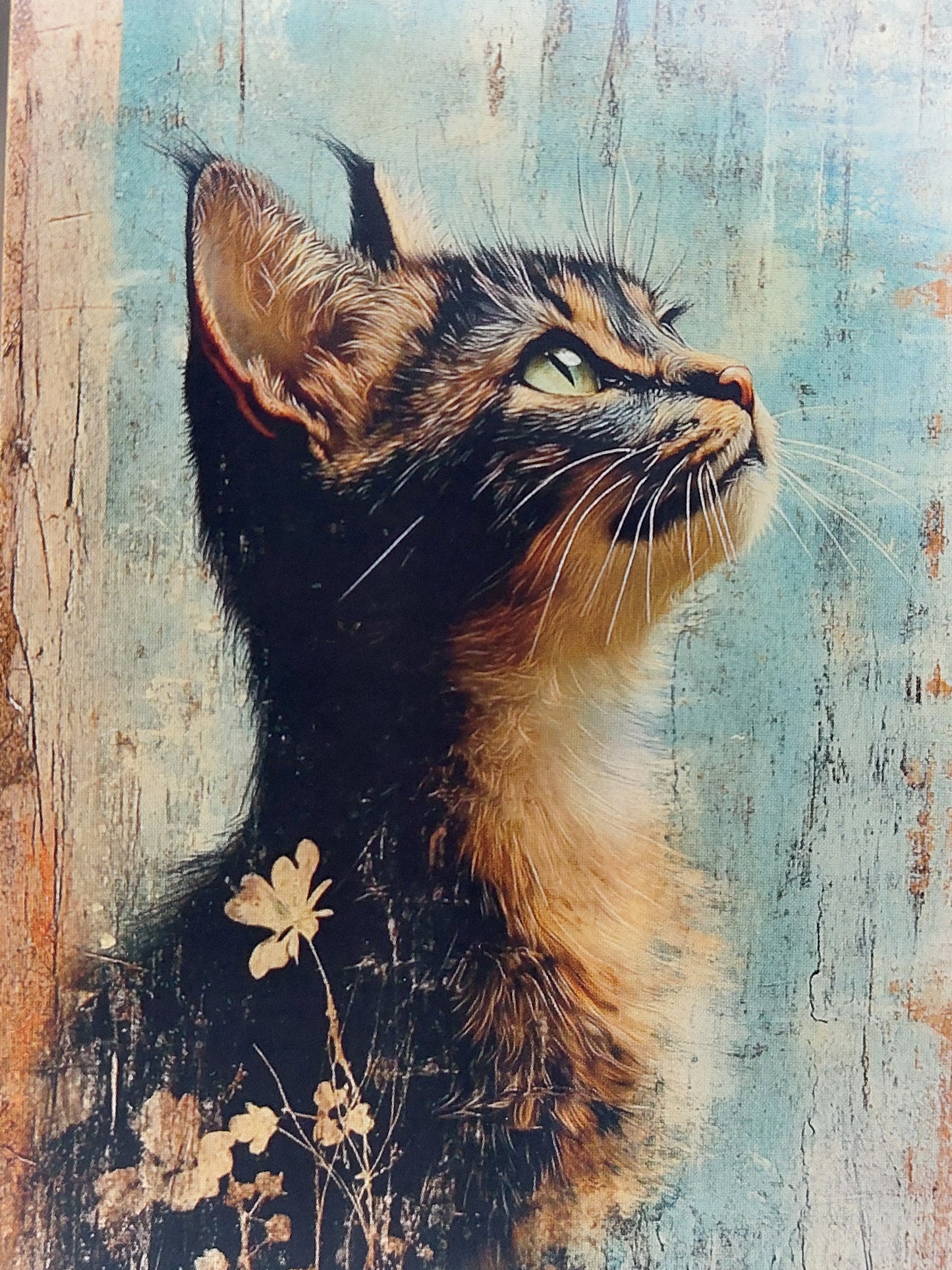 Katzen Postkarte