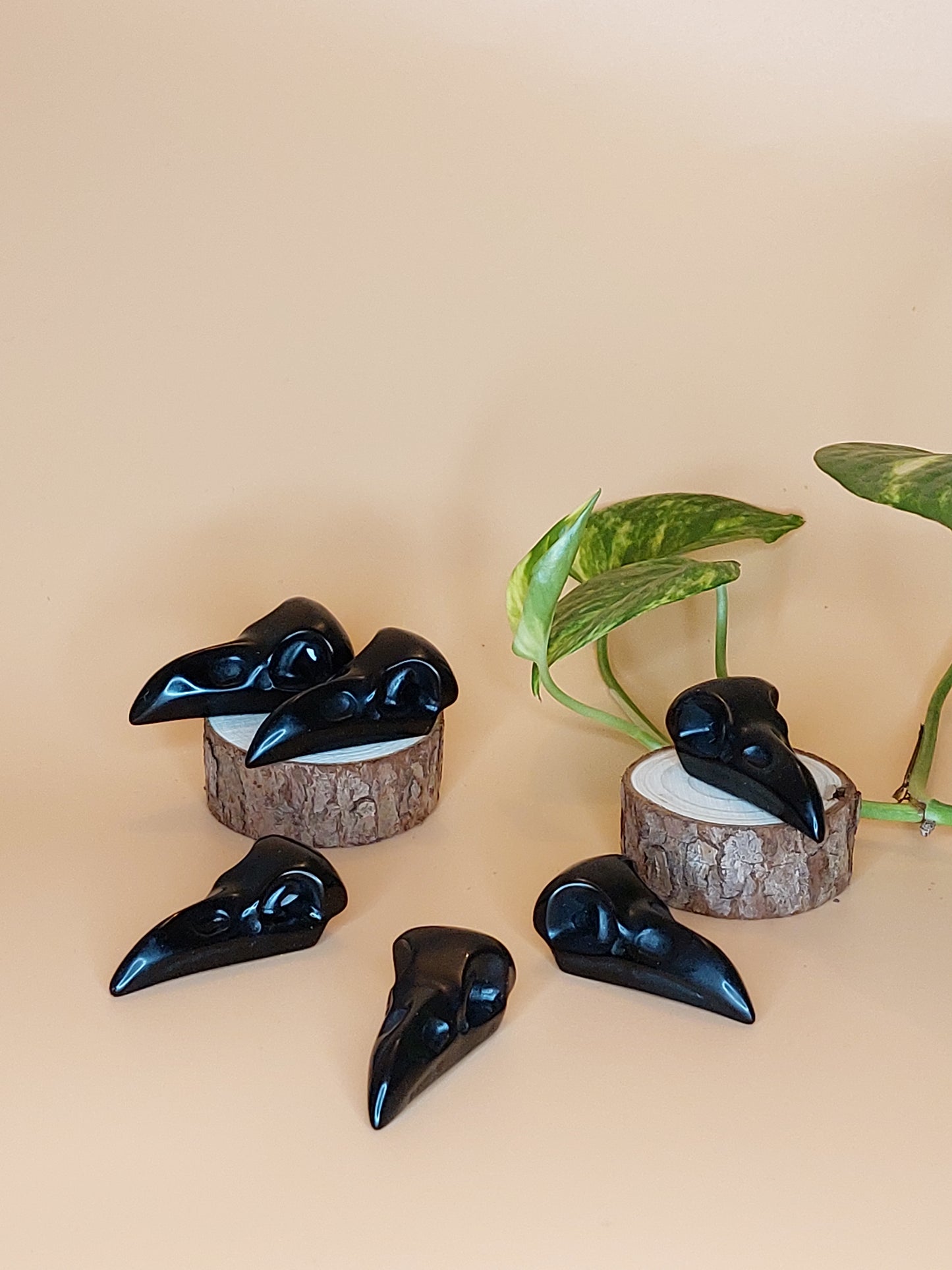 Obsidian Krähen Raben Schädel