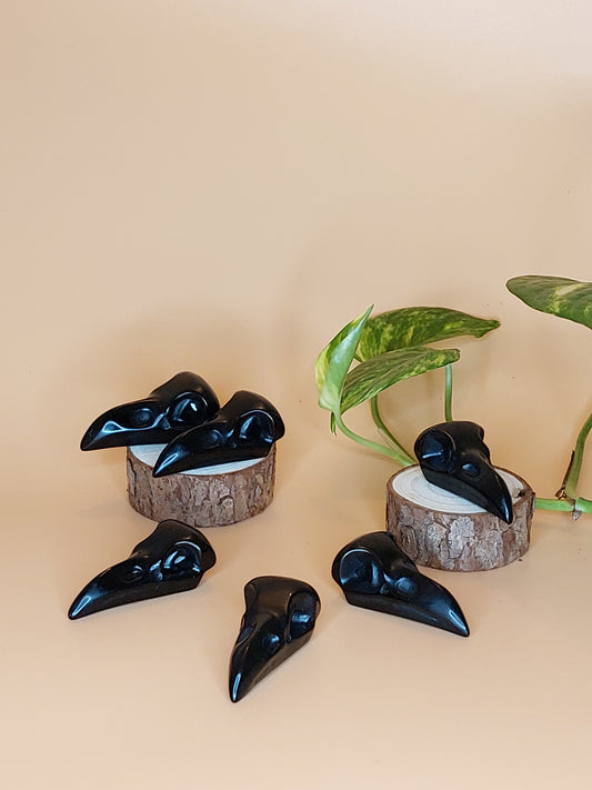 Obsidian Krähen Raben Schädel