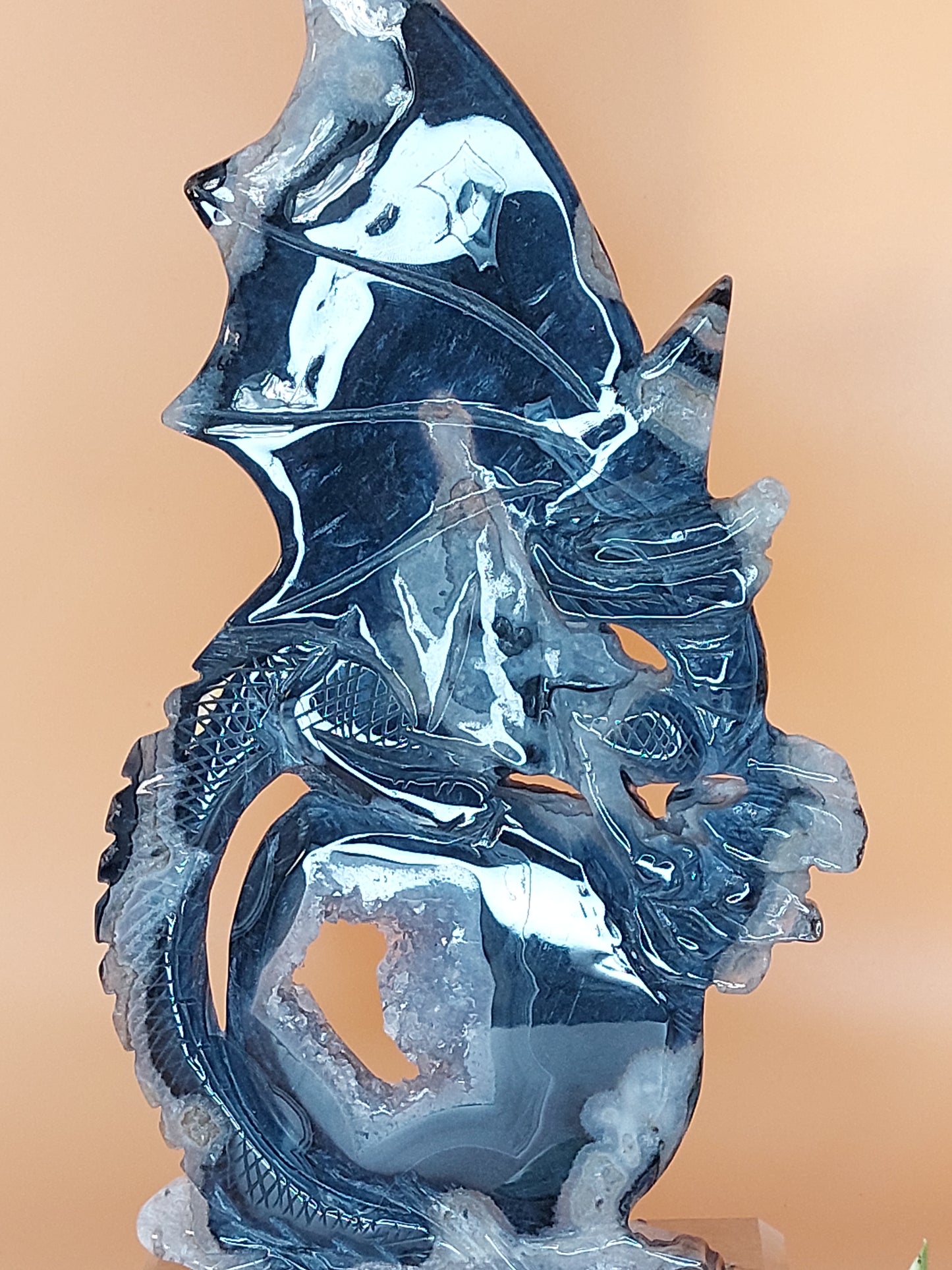 Sardonyx schwarz druzy Drache XL
