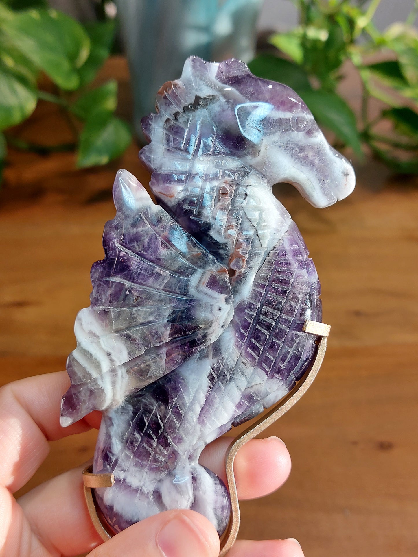 Amethyst Seepferdchen A75