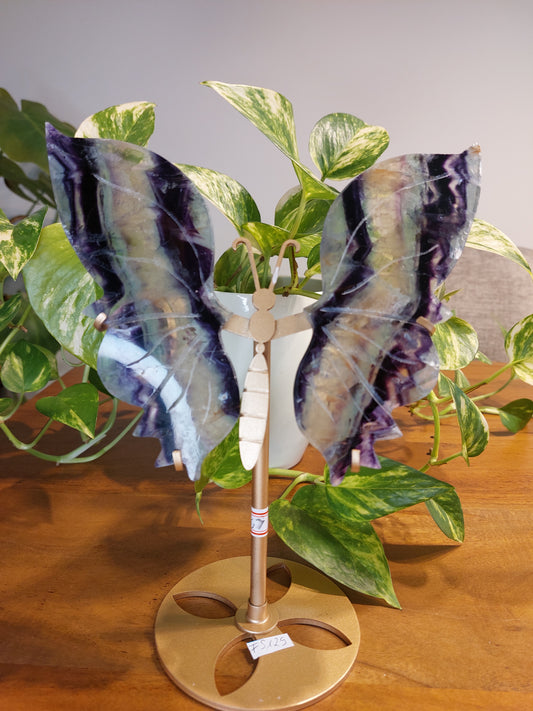 Regenbogen Flourit Schmetterling FS129