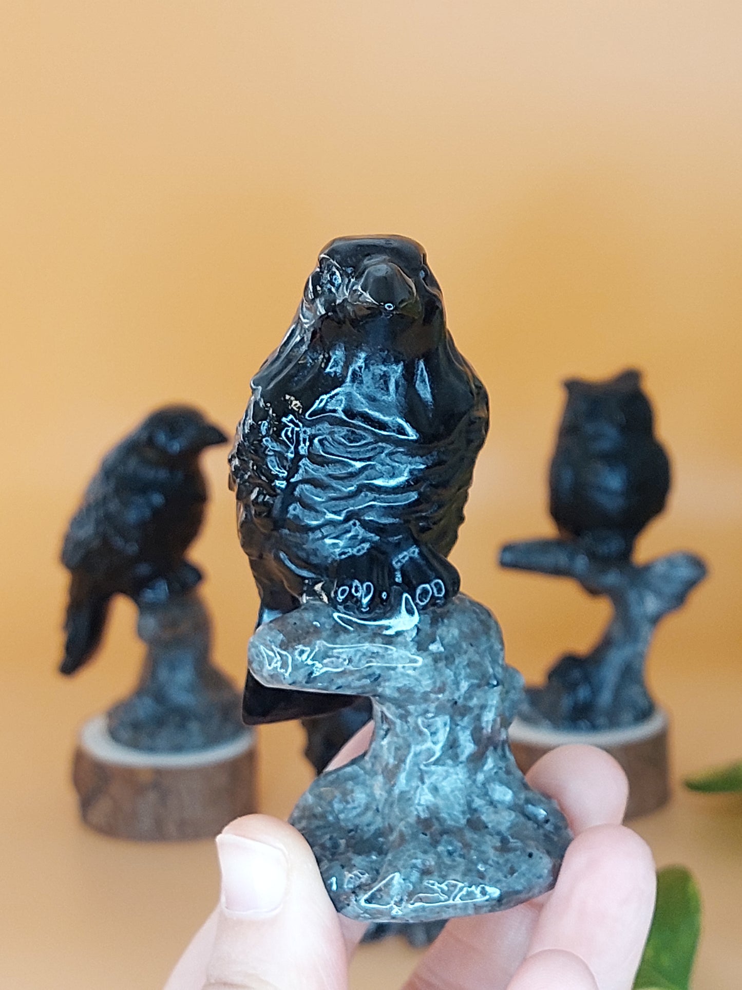 Obsidian Rabe Eule Adler