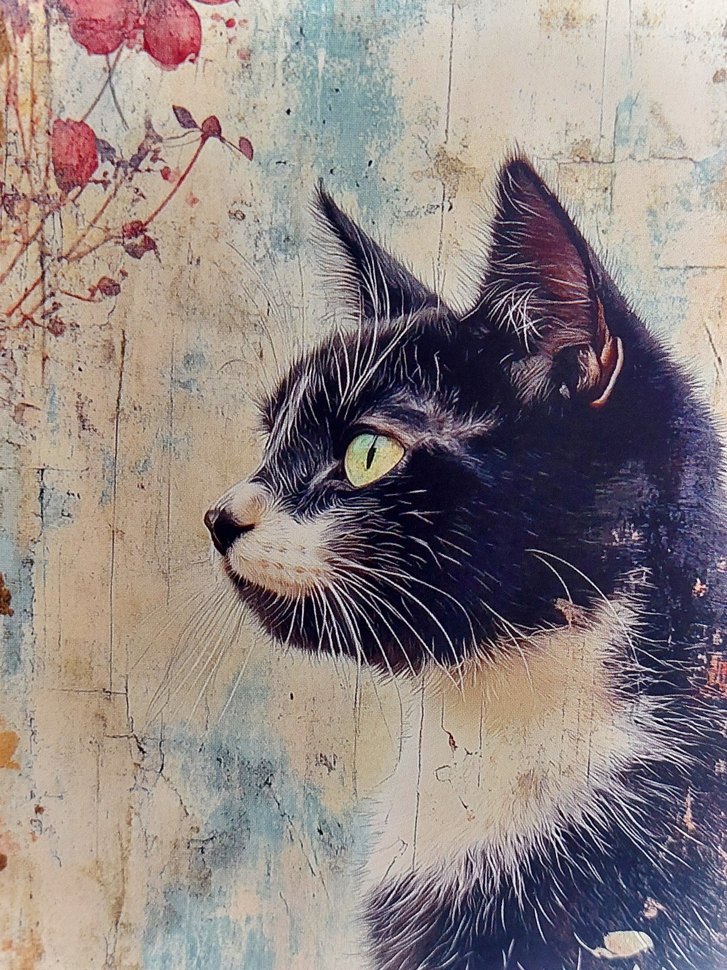 Katzen Postkarte