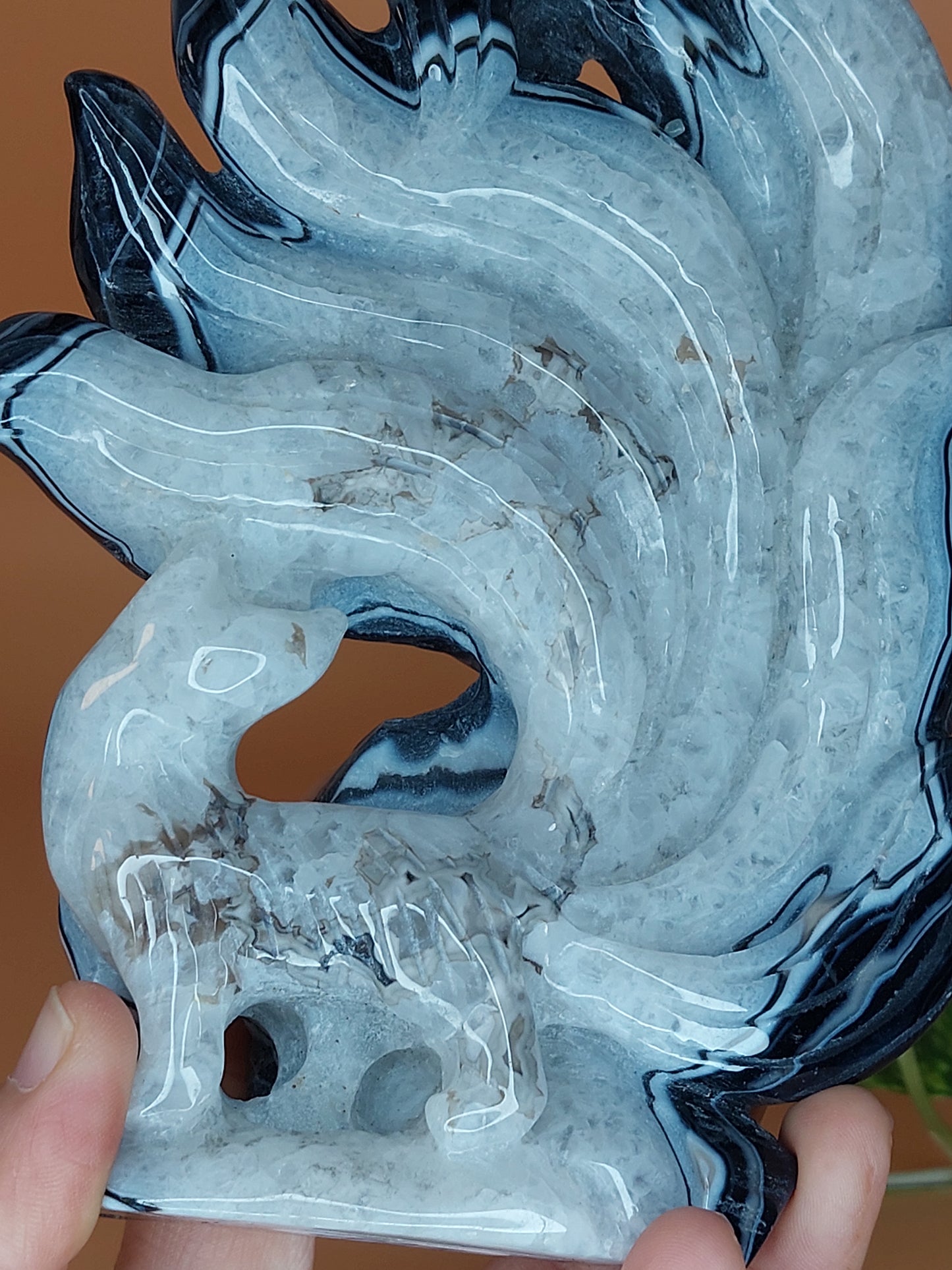 Sardonyx schwarz Fuchs XL