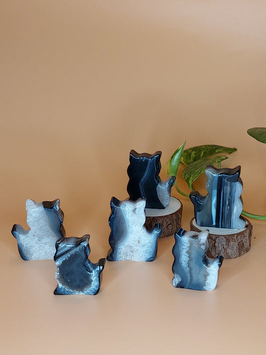 Achat schwarz Katze