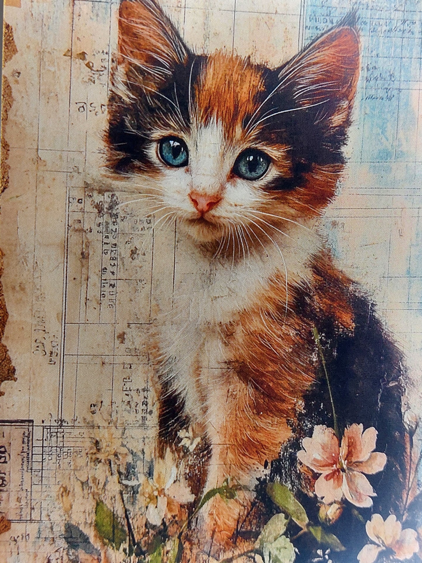 Katzen Postkarte