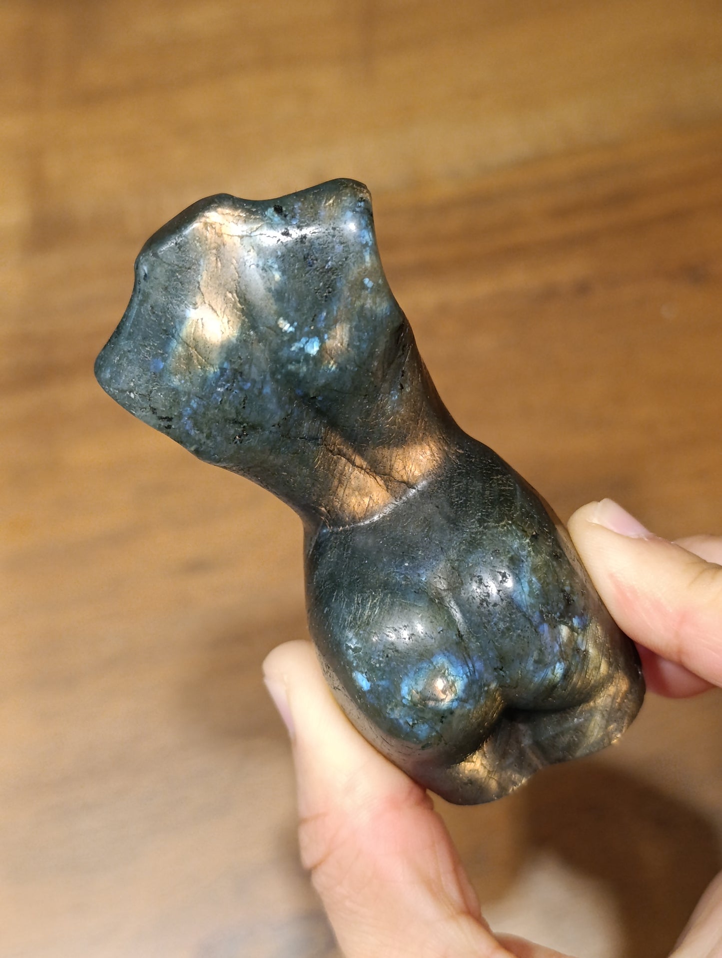 Labradorit female body