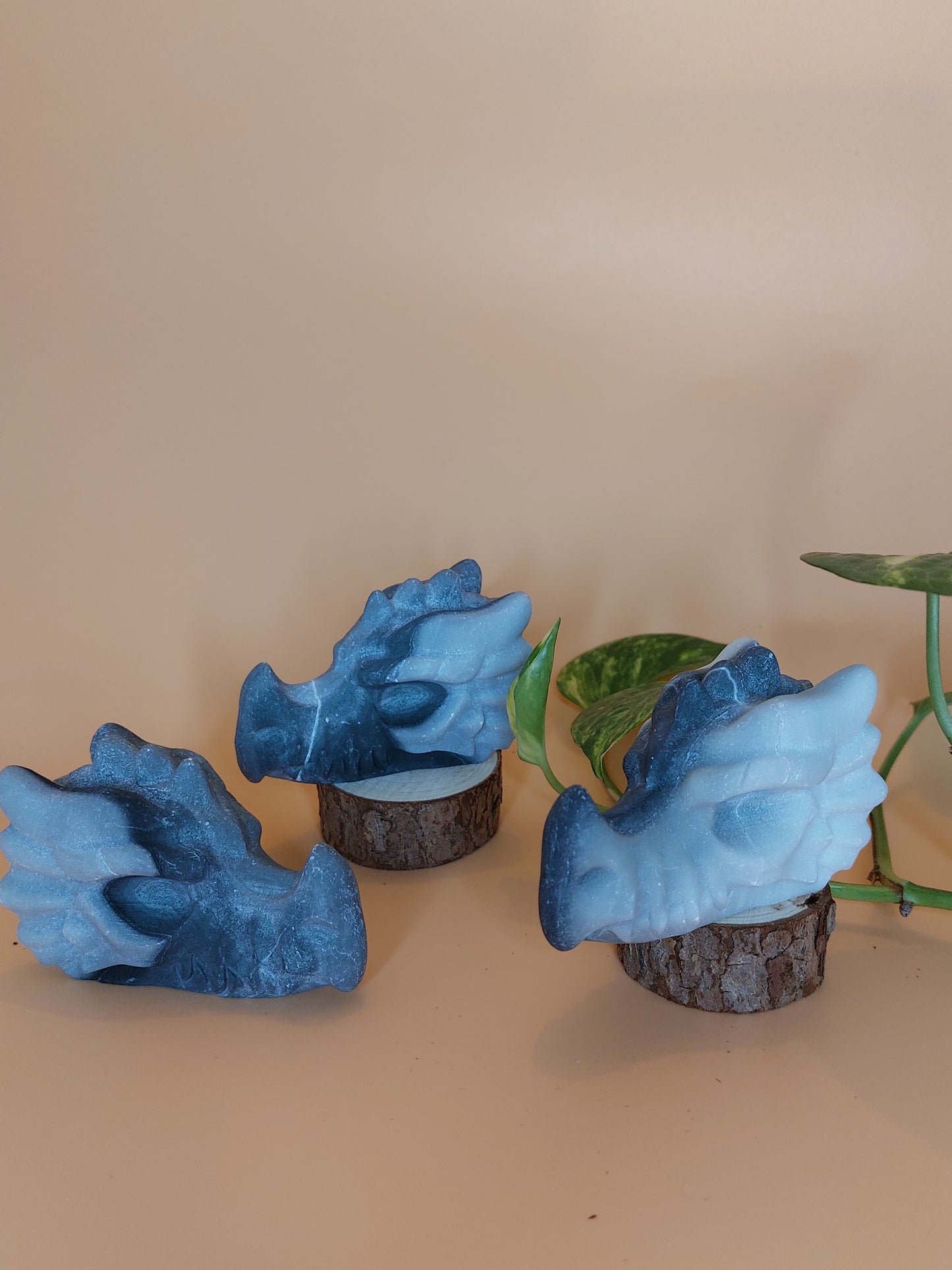 Jade Taji Drache