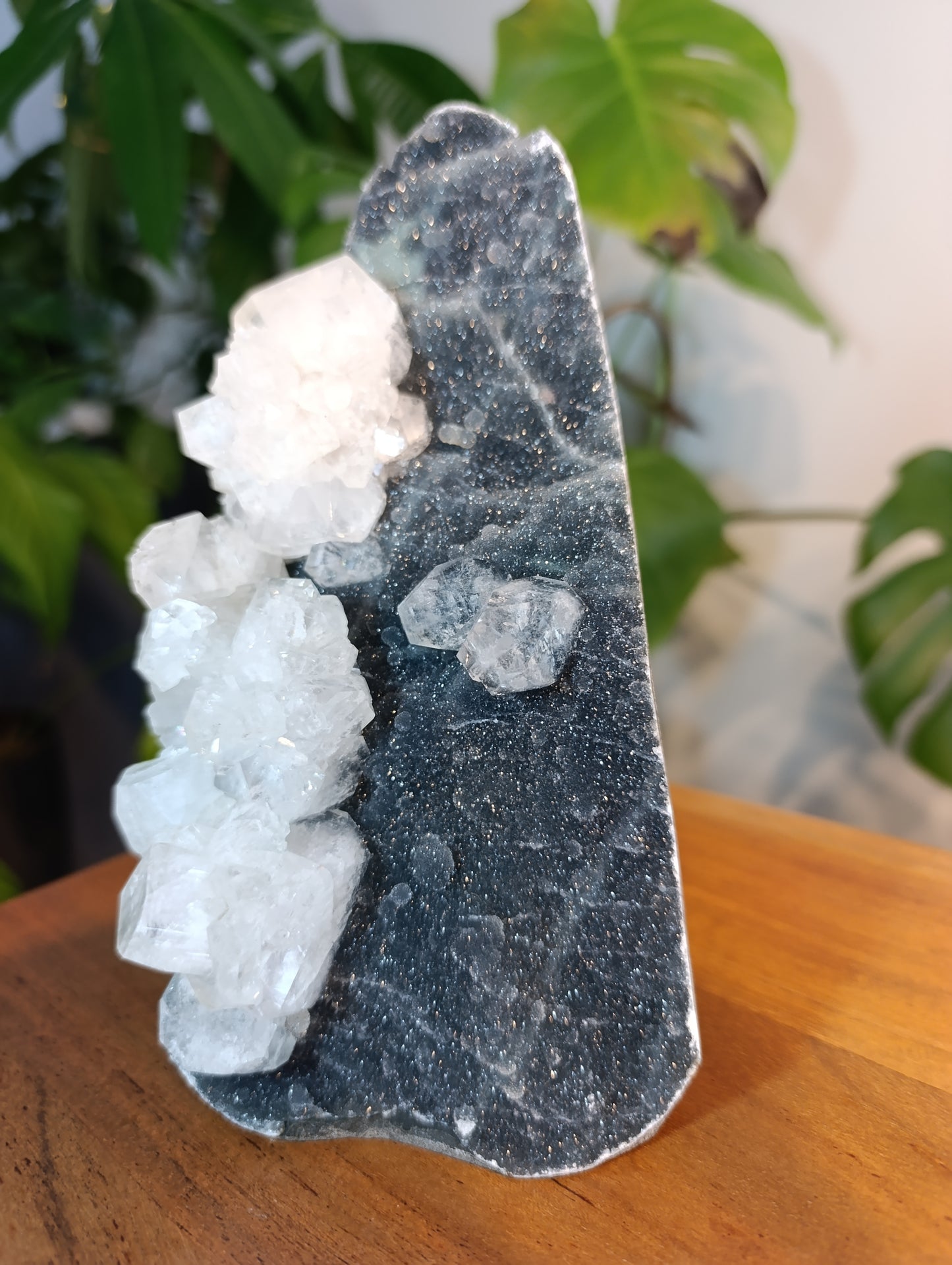 Glassy Apophyllit auf black velvet Calcedon AC540