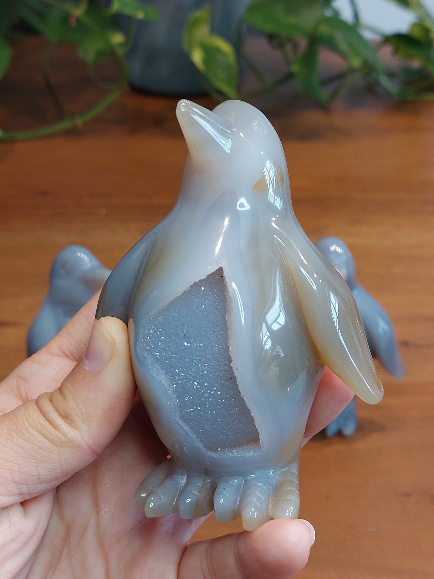 Achat Druzy Pinguin
