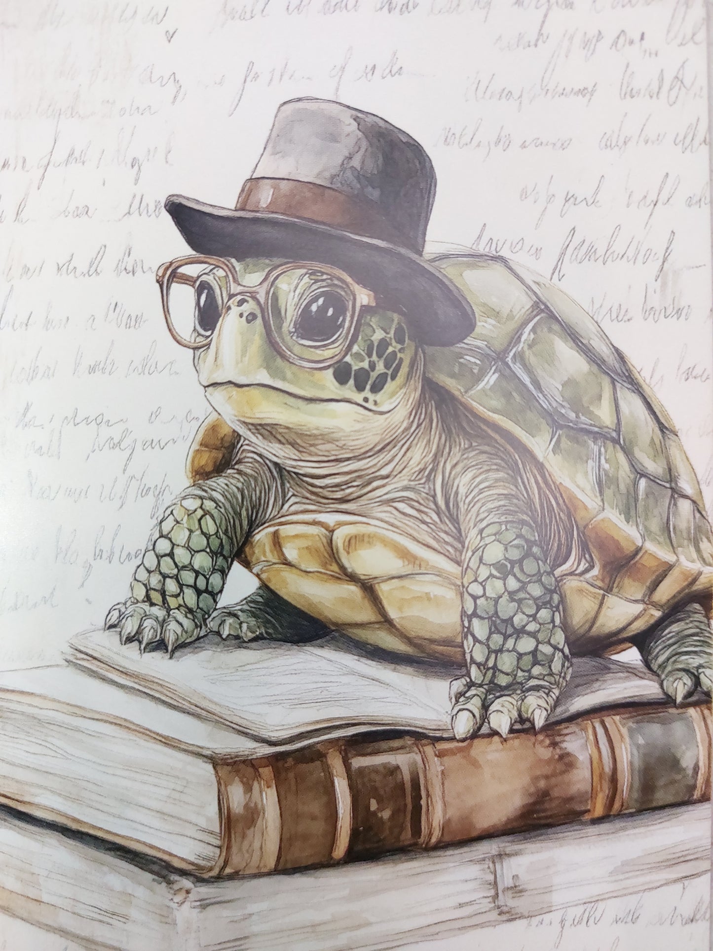 Schildkröten Postkarte