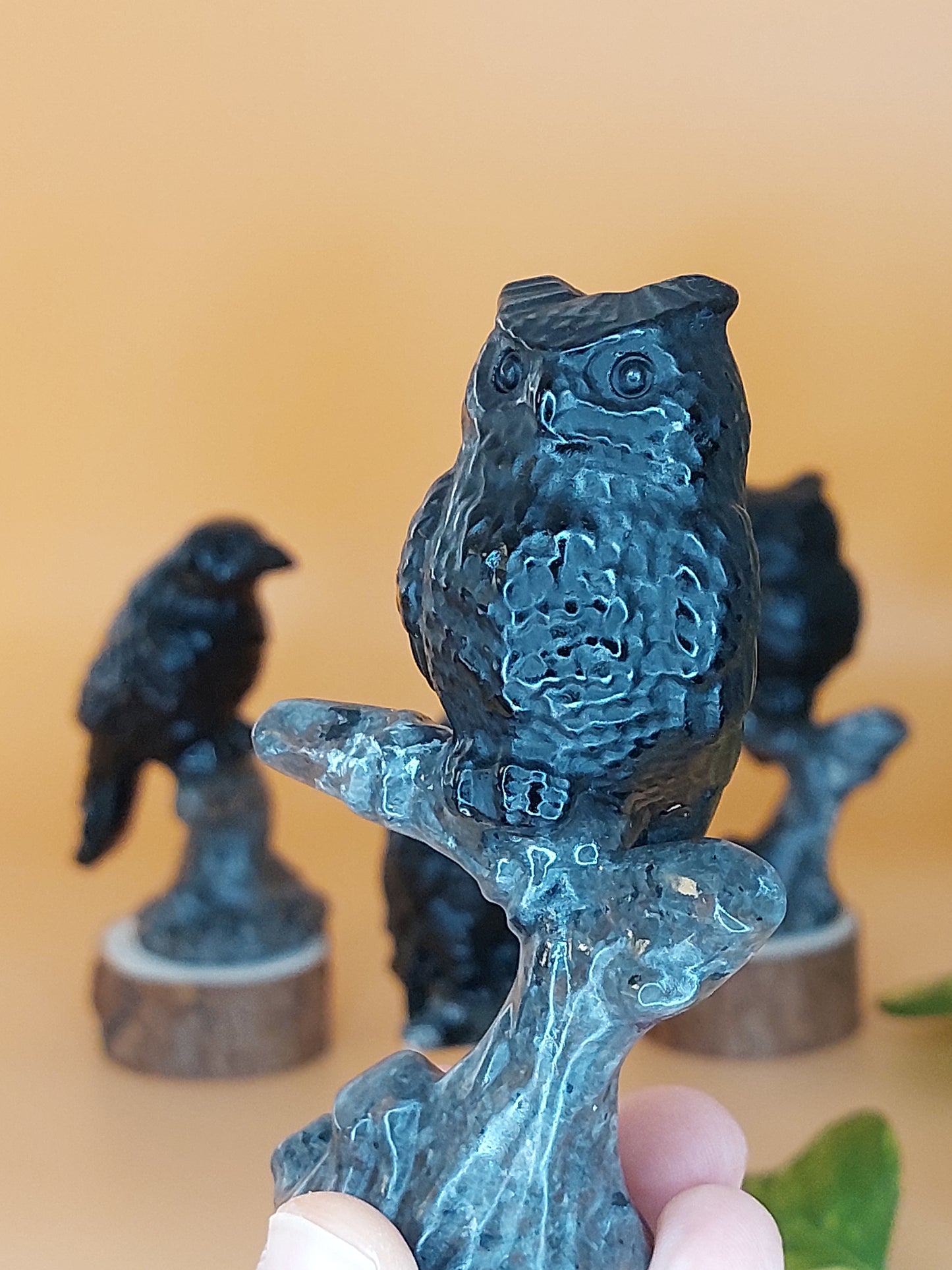Obsidian Rabe Eule Adler