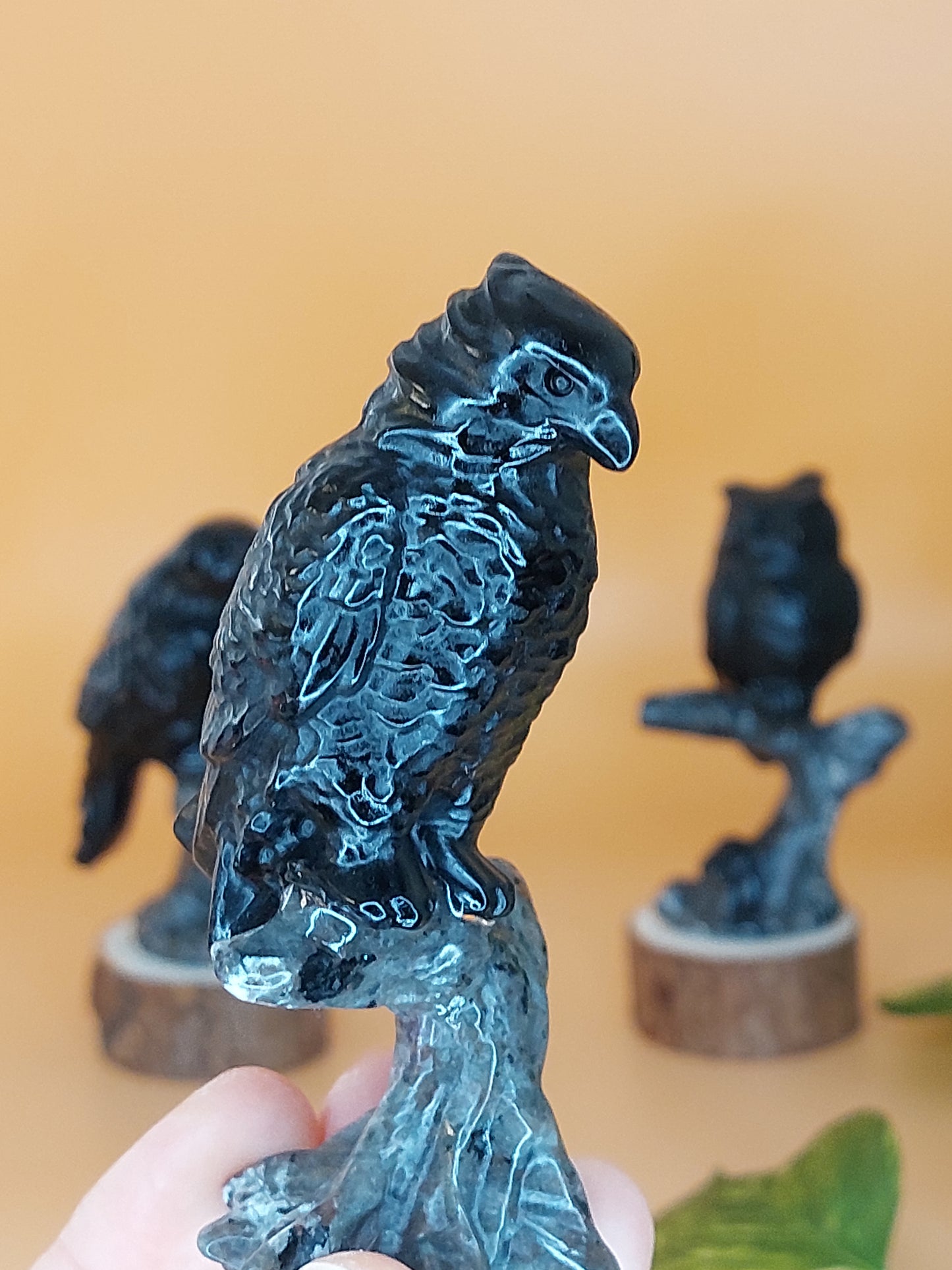Obsidian Rabe Eule Adler