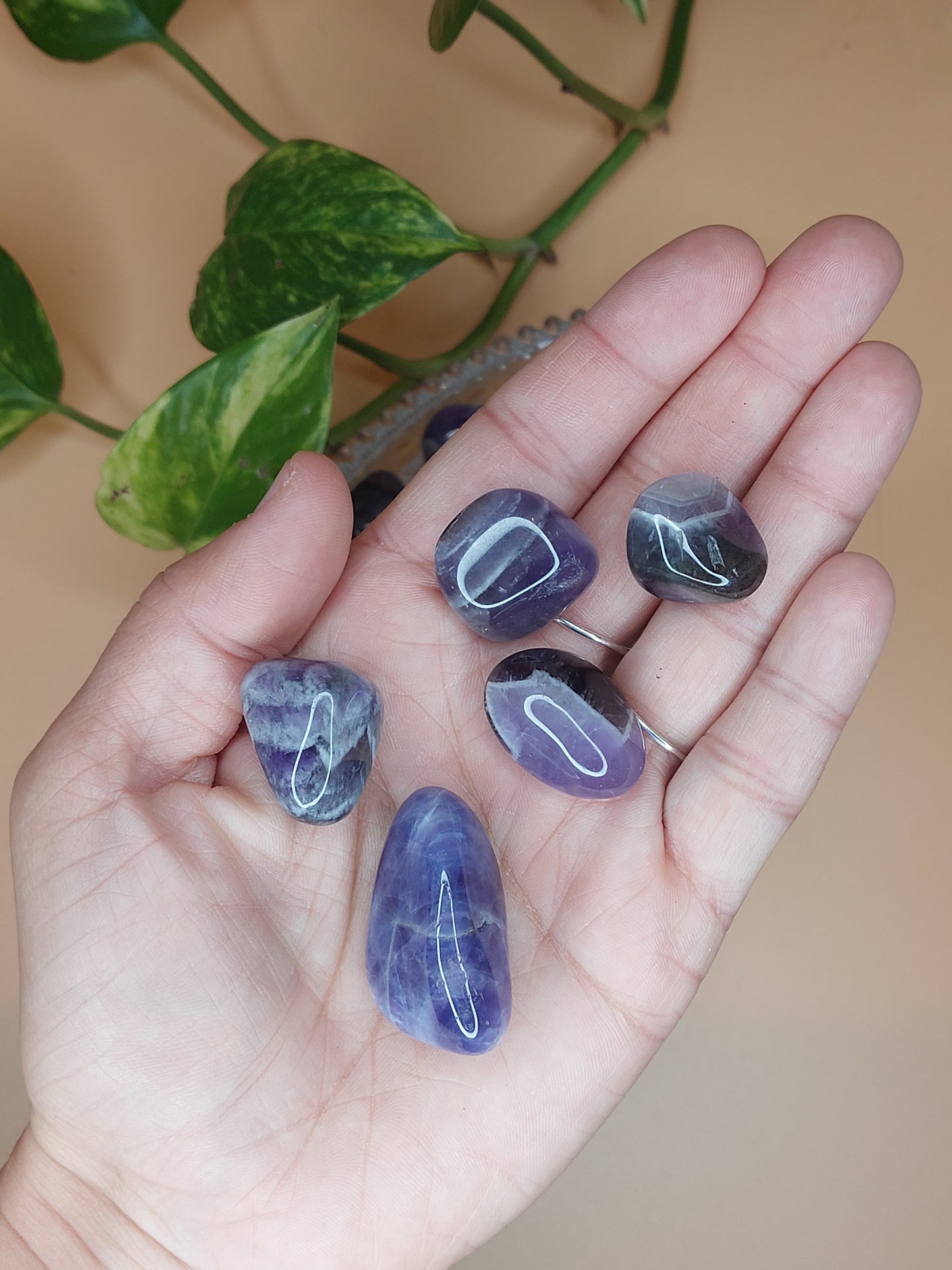 Aventurin, Amethyst, Quarz, Ozean Jaspis| Trommelstein