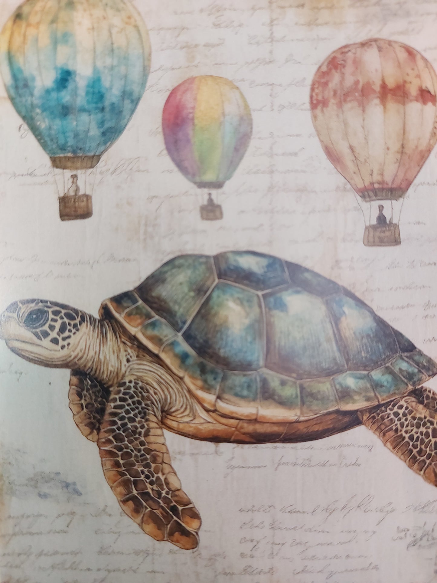 Schildkröten Postkarte