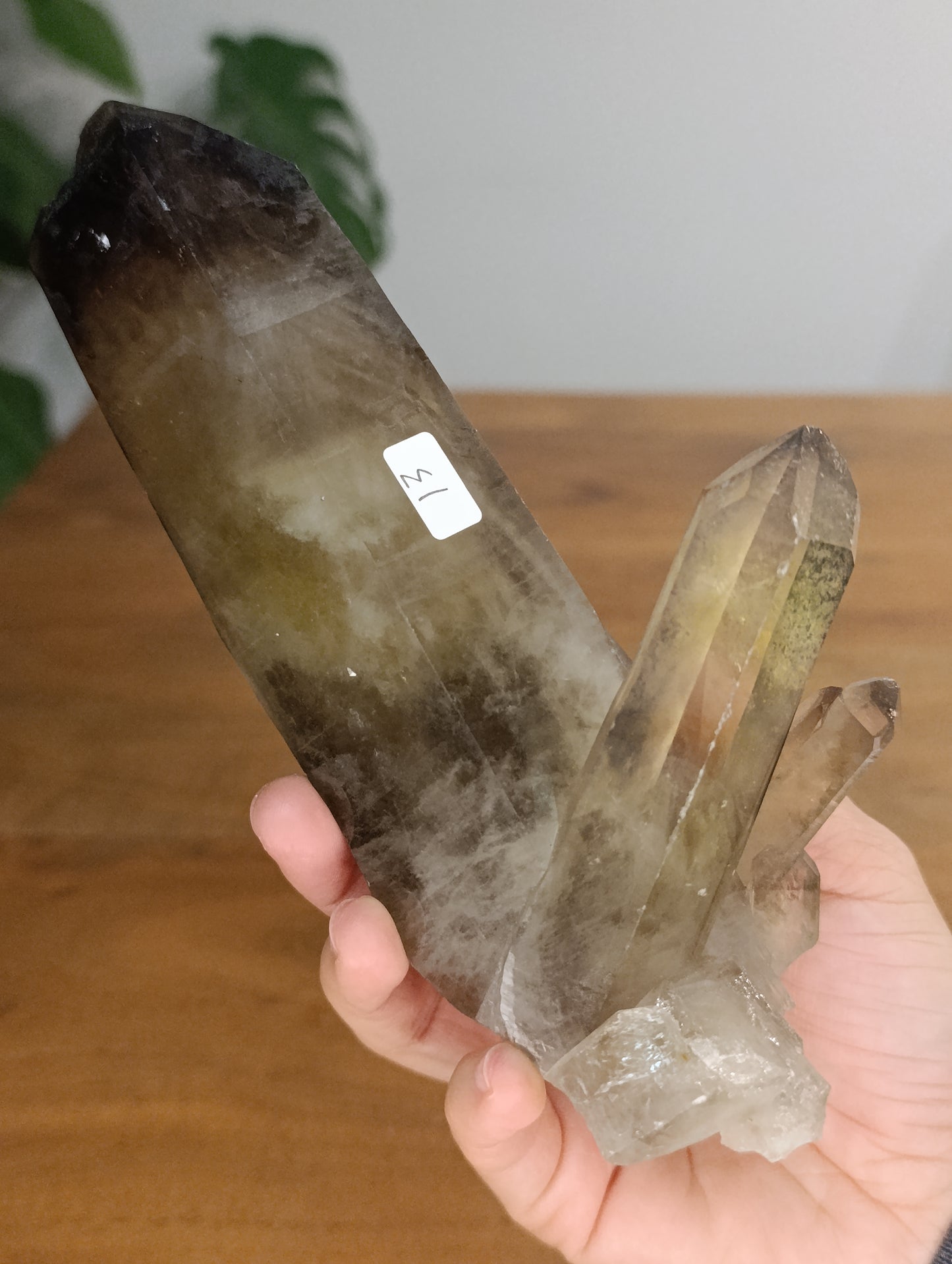 Rauchquarz Spitze auf Ständer R149