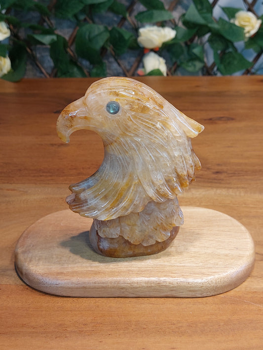 Golden Healer Adler