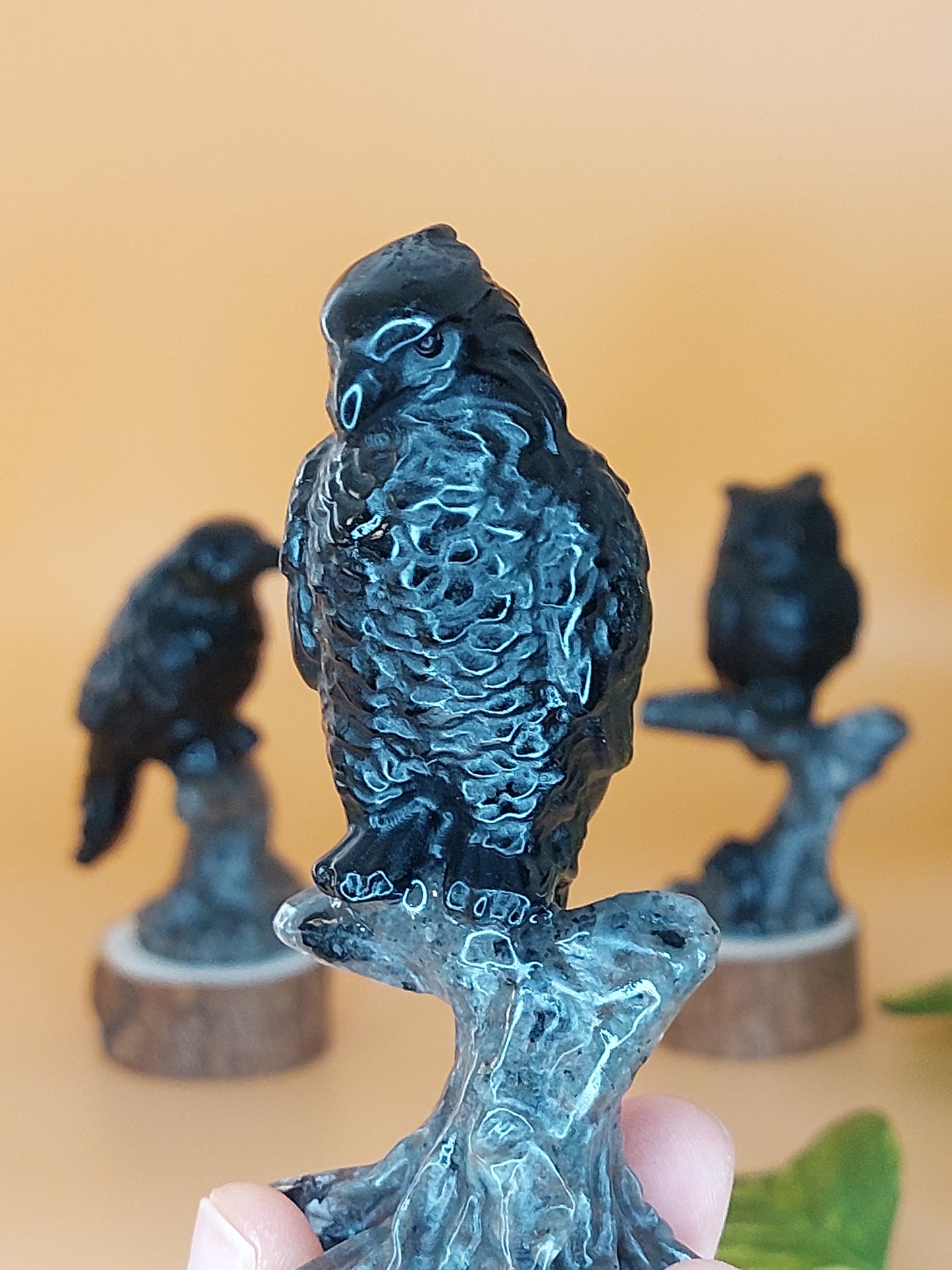 Obsidian Rabe Eule Adler