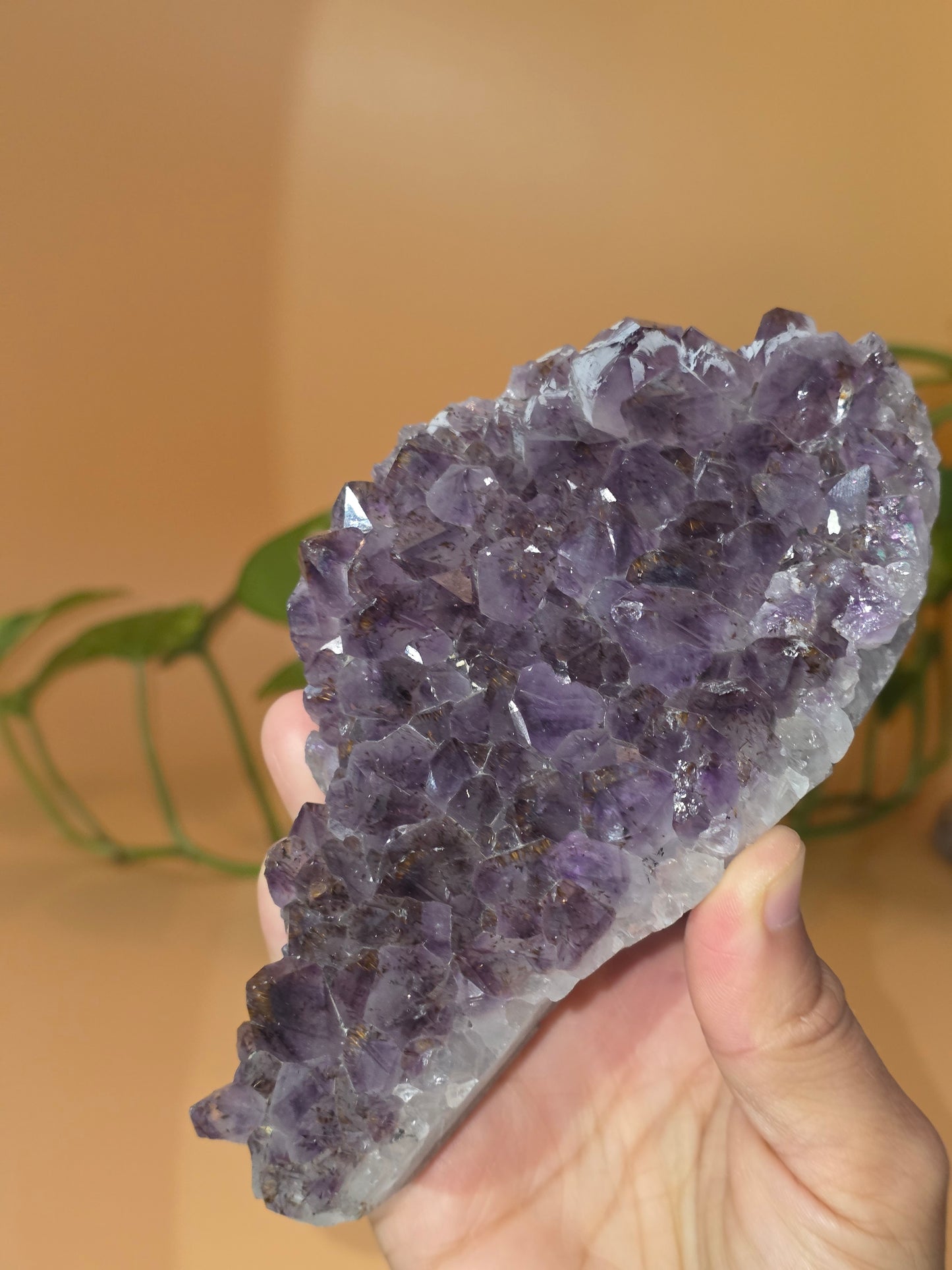 Amethyst mit Rutil Rarität AR111
