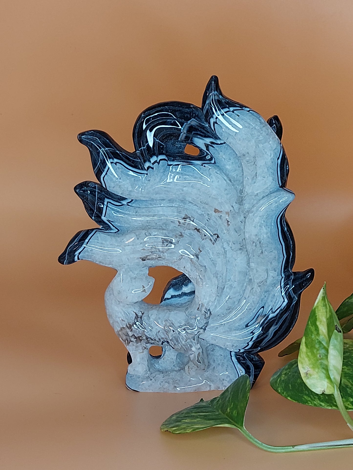 Sardonyx schwarz Fuchs XL
