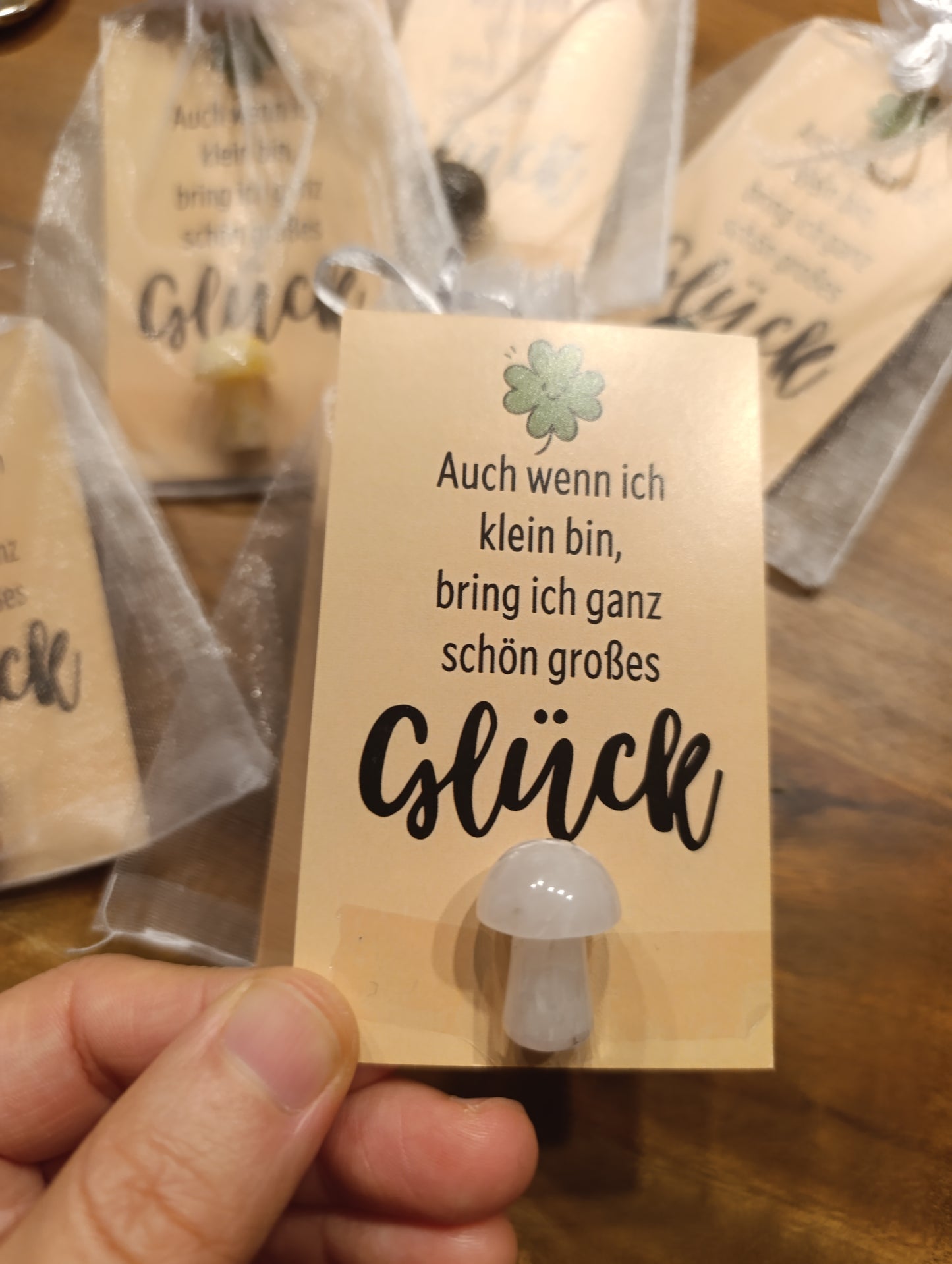 Kristall Pilz to go