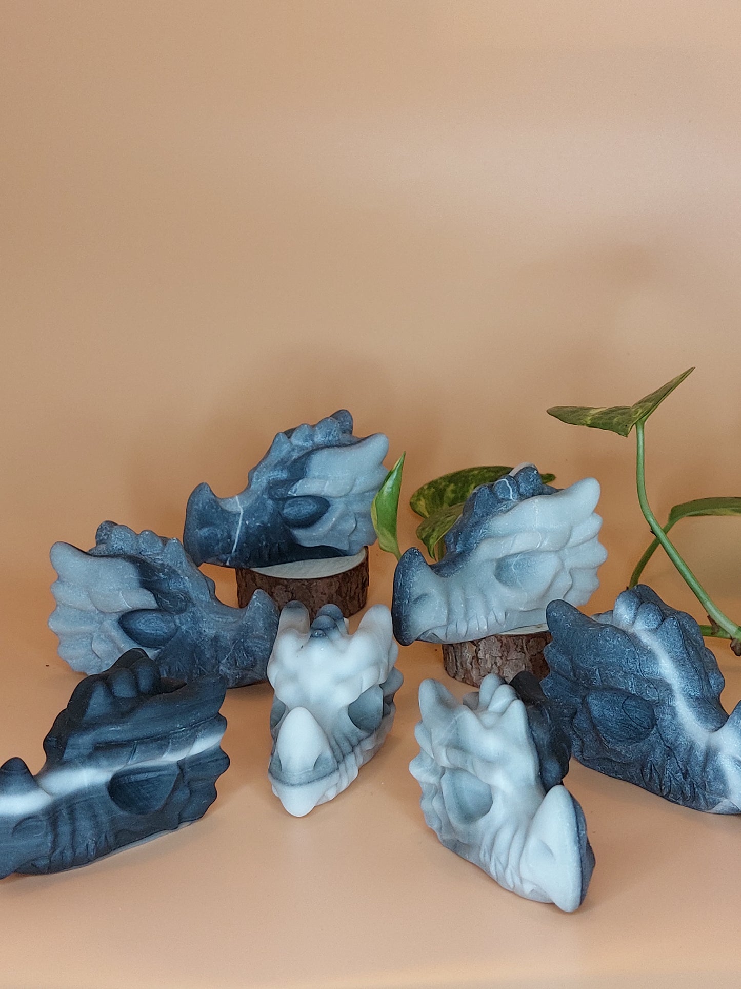 Jade Taji Drache