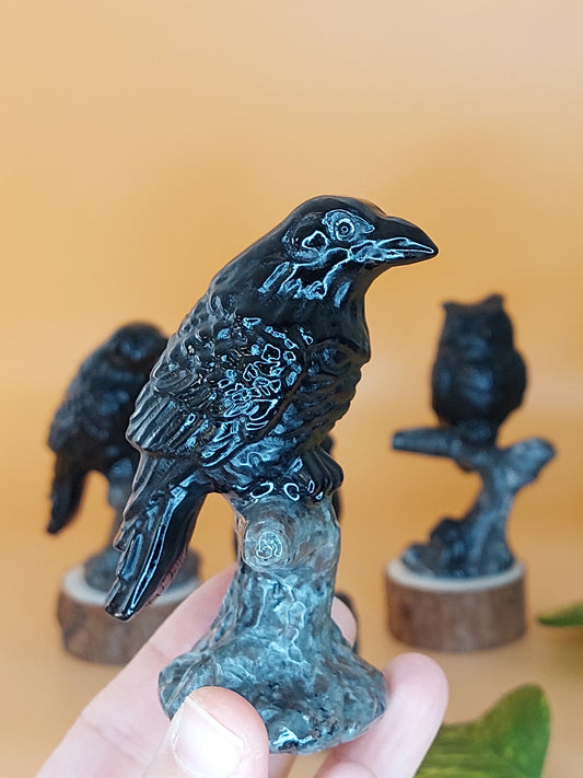 Obsidian Rabe Eule Adler
