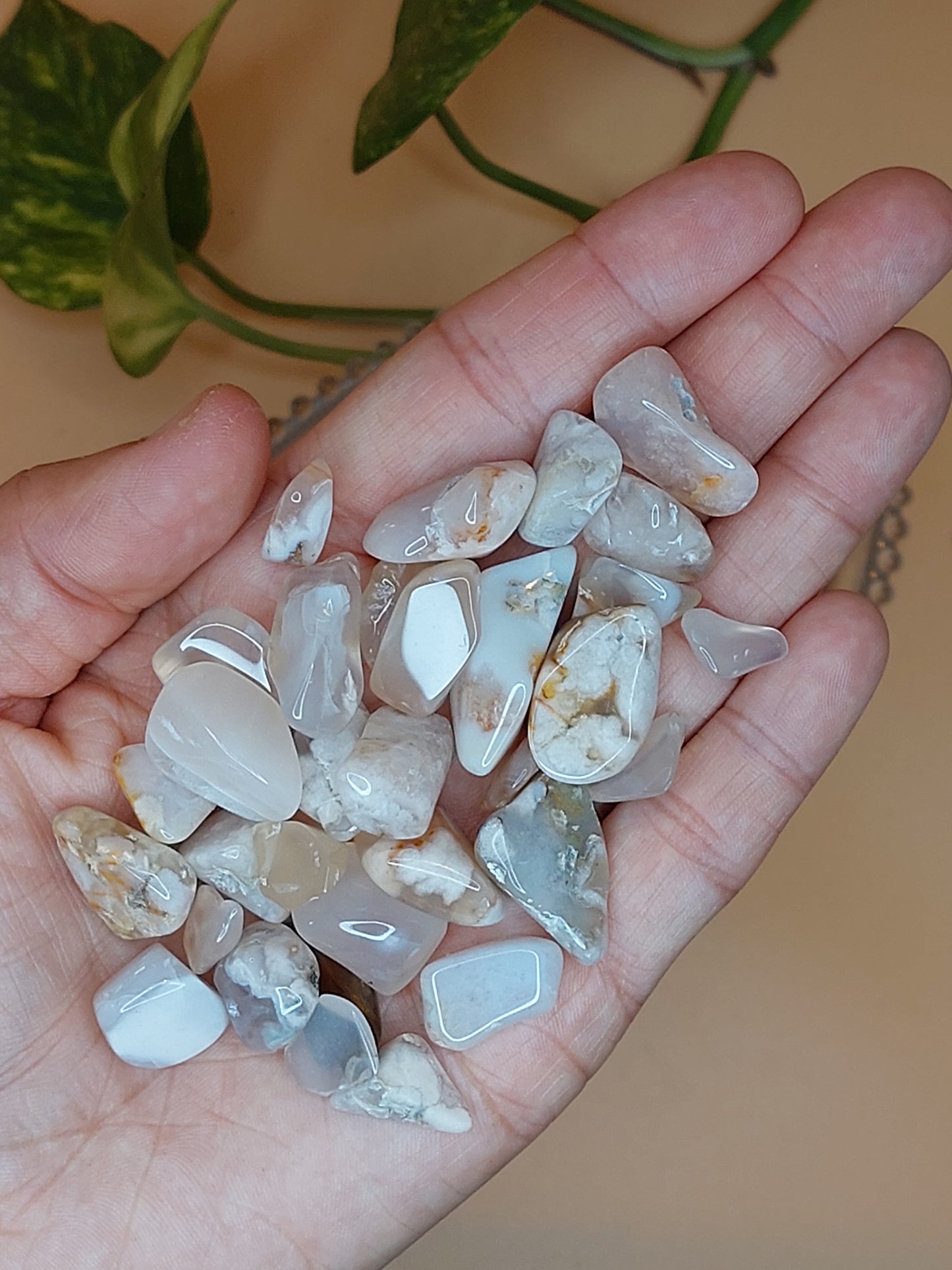 Jade, Kirschblüten Achat, Lepidolith | Kristall Chips M