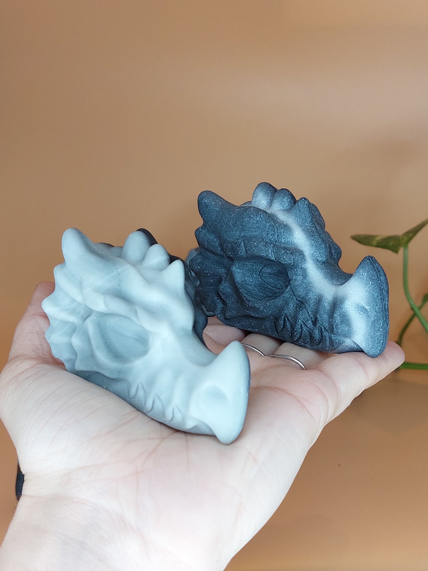Jade Taji Drache
