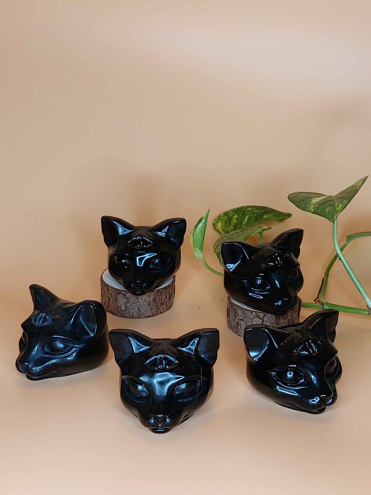 Obsidian 3 äugige Katze