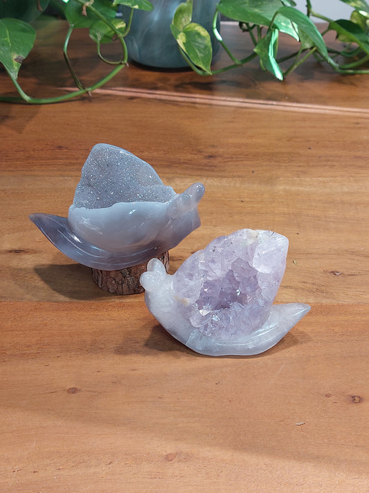 Achat Amethyst druzy Schnecke