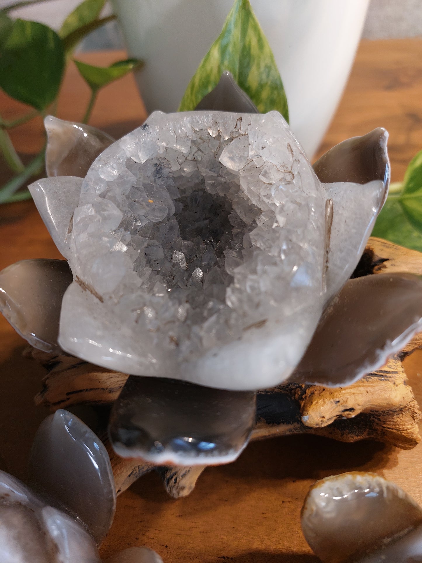 Druzy Achat Lotus Blüte XL