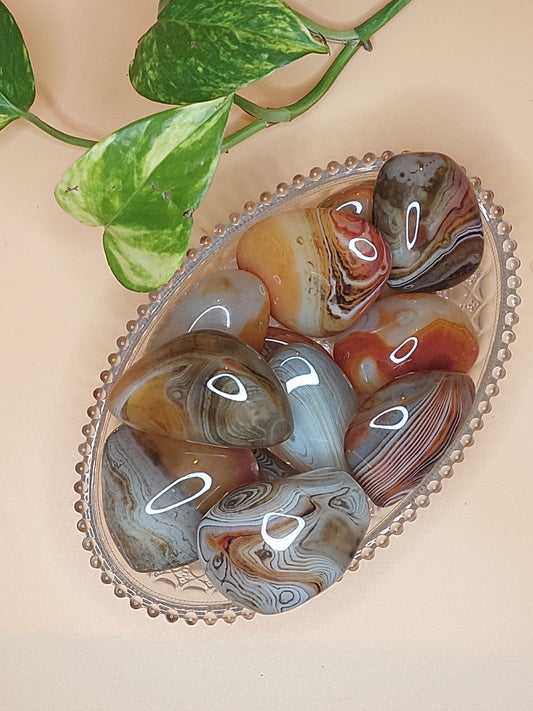 Sardonyx Achat rot schwarz | Trommelstein XL