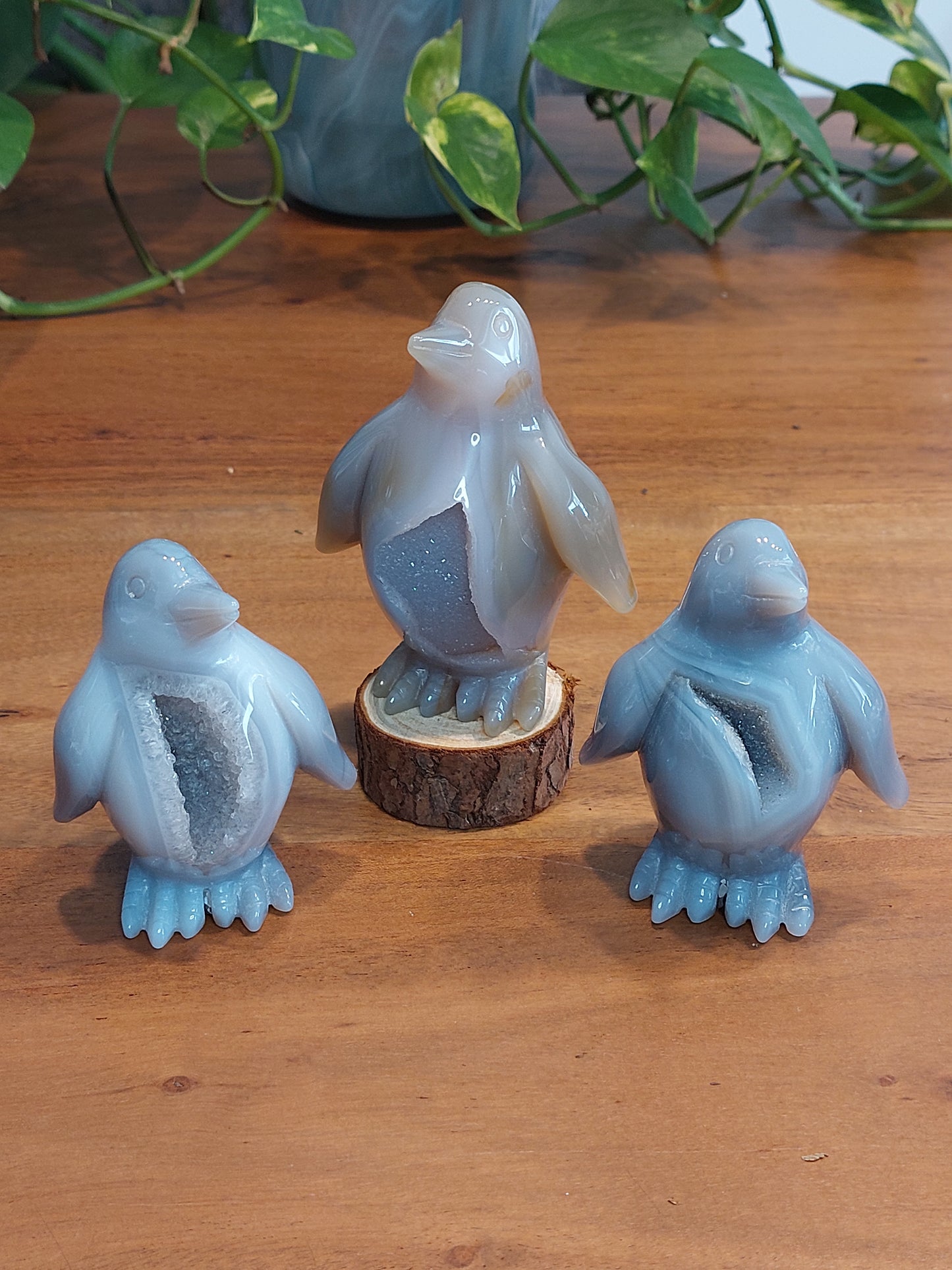 Achat Druzy Pinguin