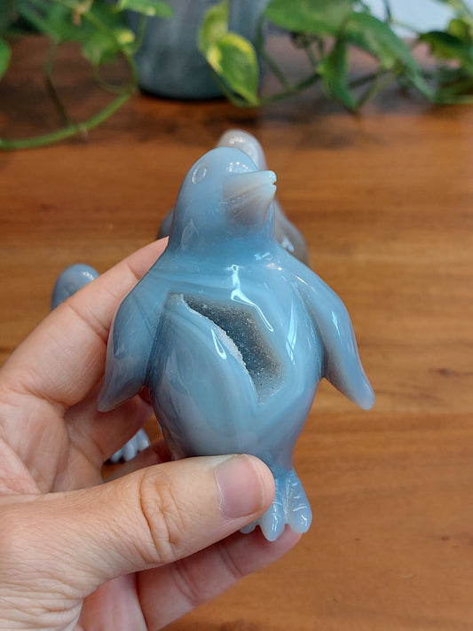 Achat Druzy Pinguin