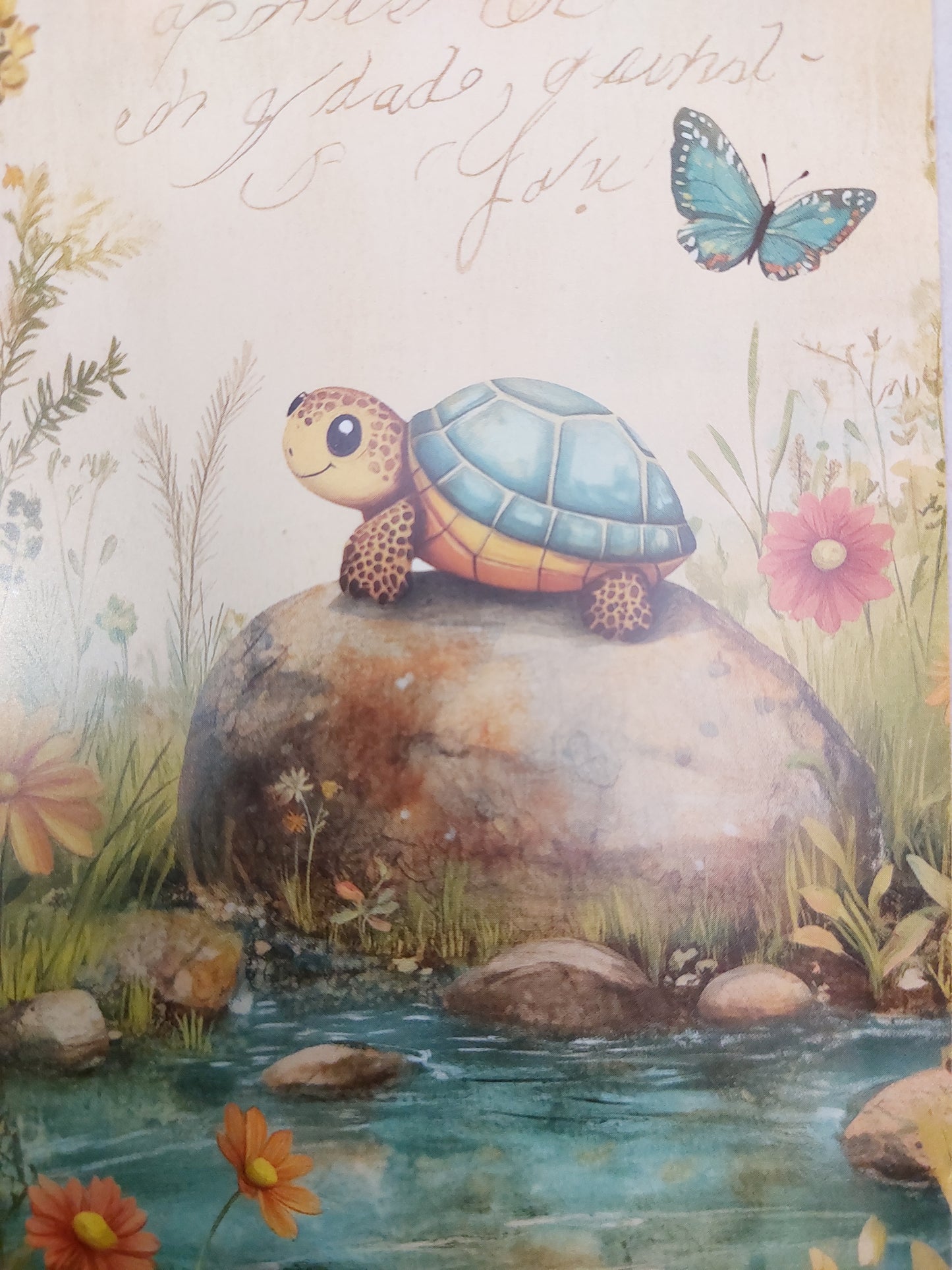 Schildkröten Postkarte
