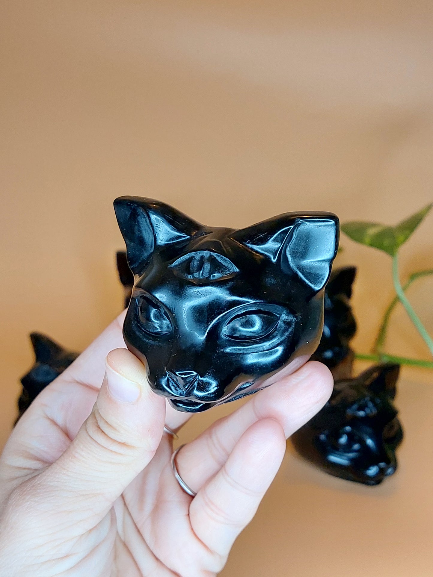Obsidian 3 äugige Katze